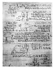 Papirus Rhinda